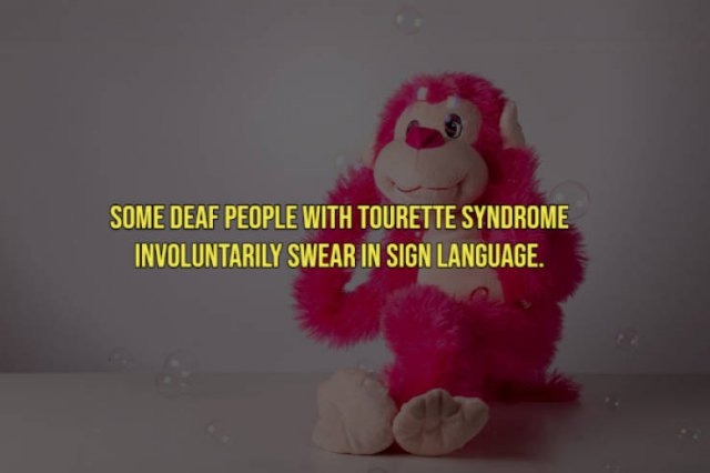 interestingfacts19_012