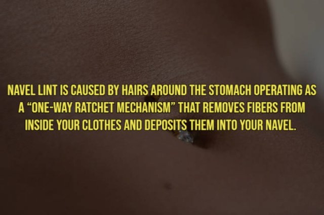 interestingfacts19_014