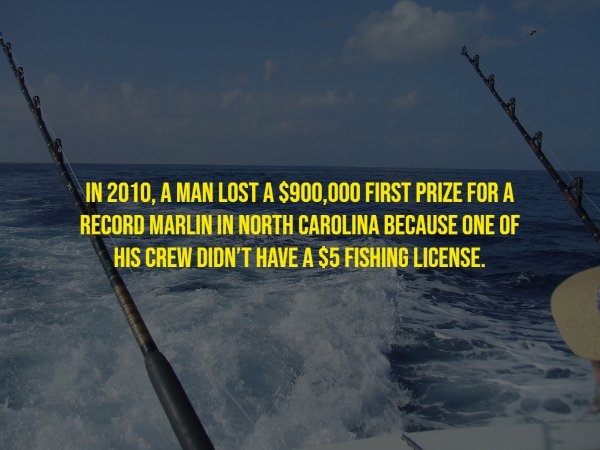 interestingfacts20_007