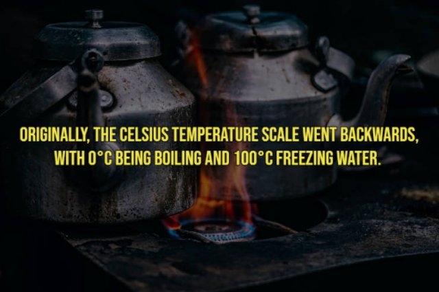 interestingfacts21_002