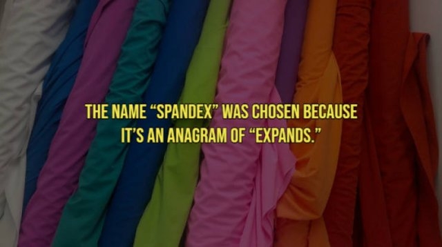 interestingfacts21_011