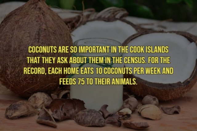 interestingfacts21_013