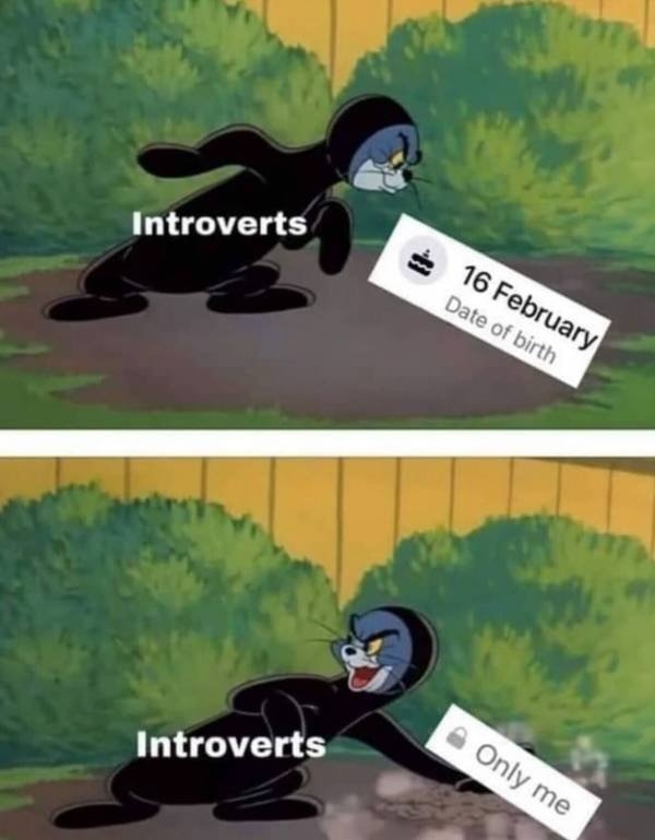 introvertmemes3_005