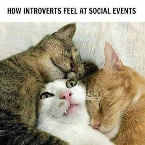 introvertmemes3_013