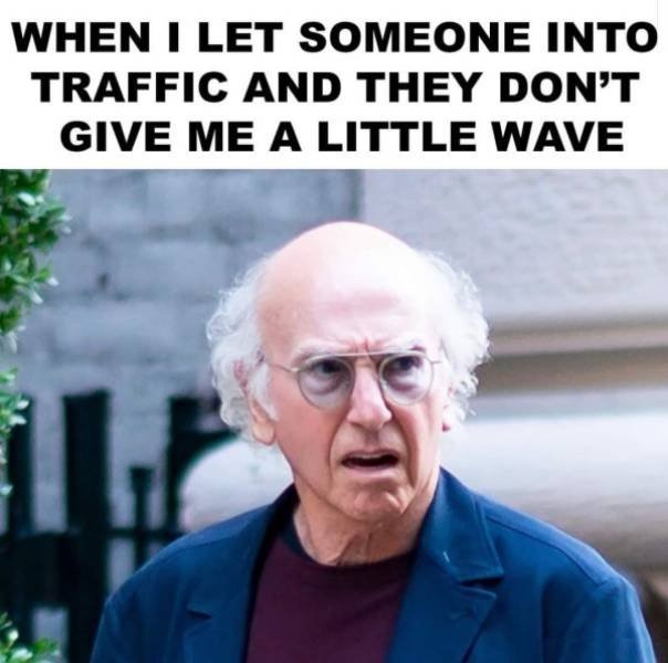larrydavidmemes_010