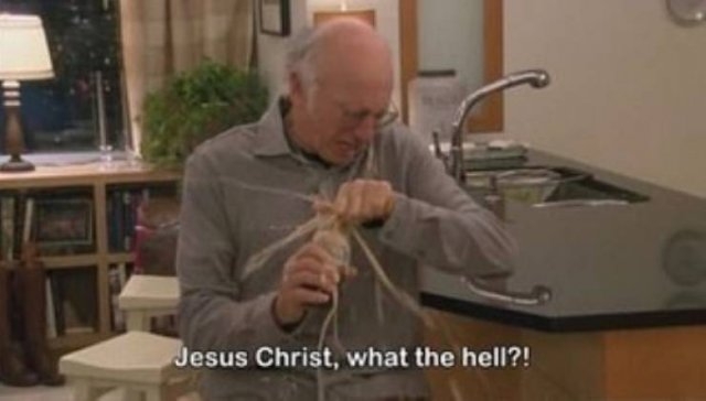 larrydavidmemes_011