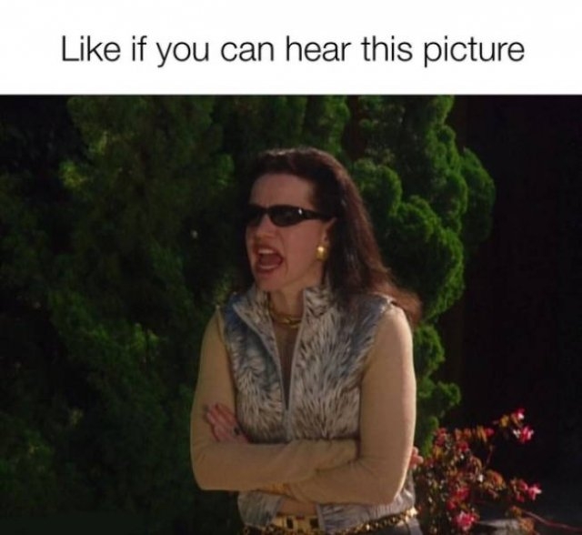 larrydavidmemes_027