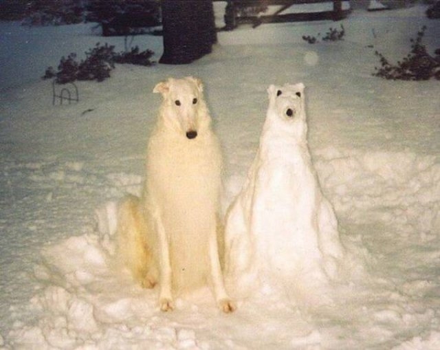 randompics530_064