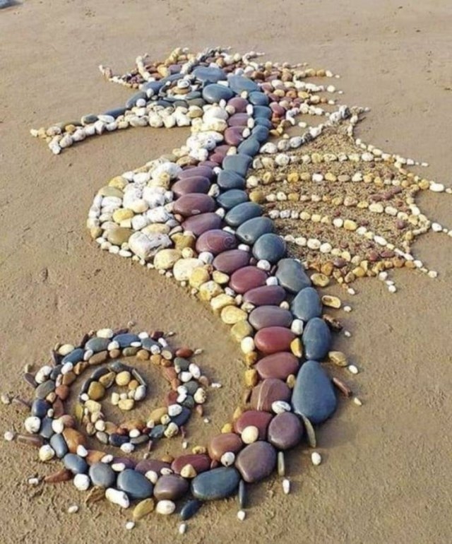randompics538_066