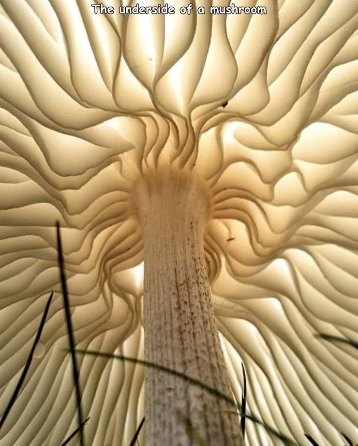 randompics542_010