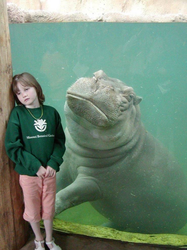 randompics542_041