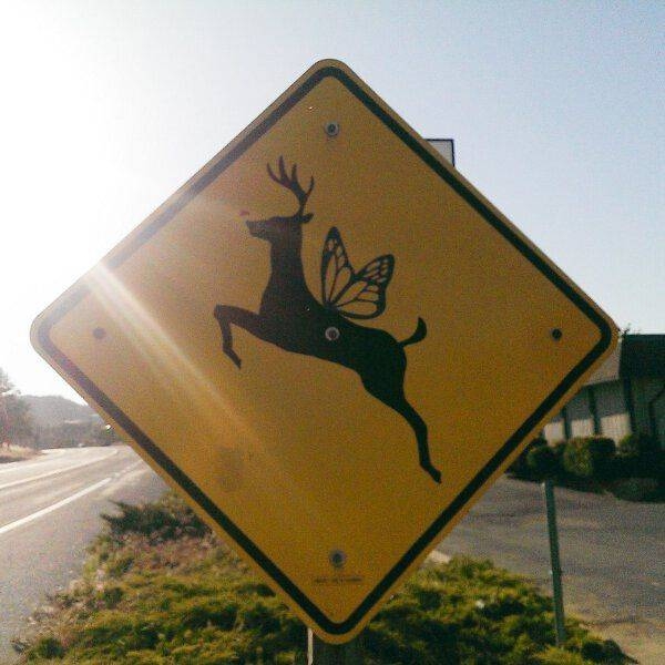 randompics545_064