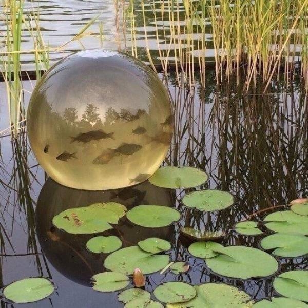 randompics545_074
