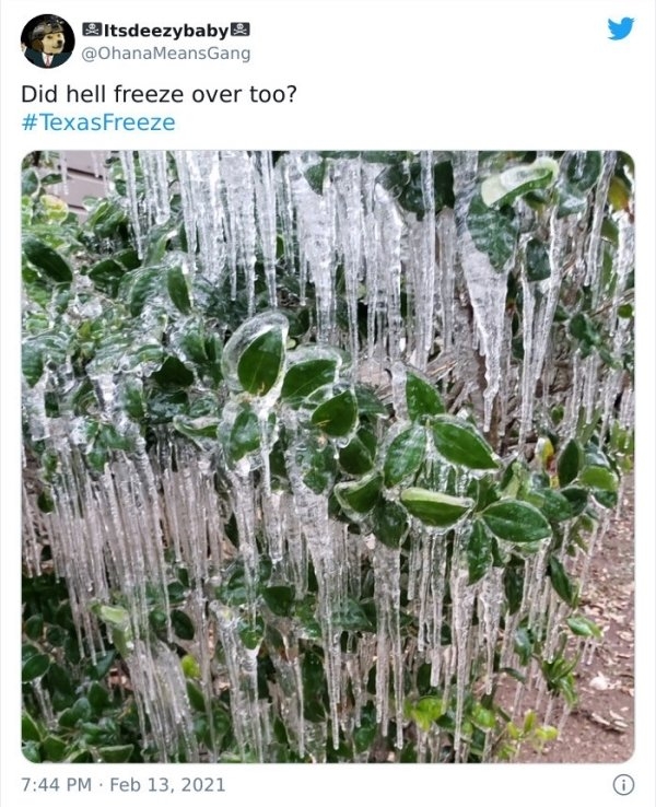 texassnowmageddon_010