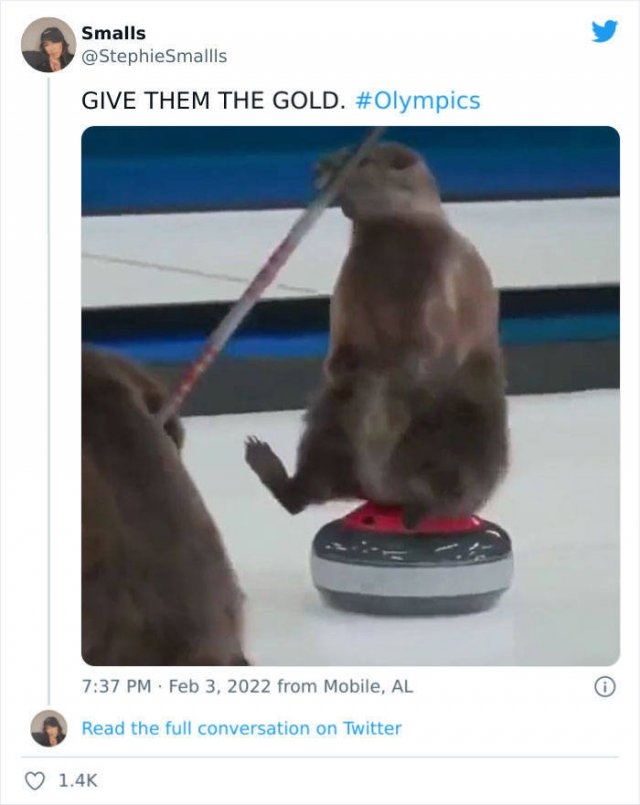 winterolympicmemes_011