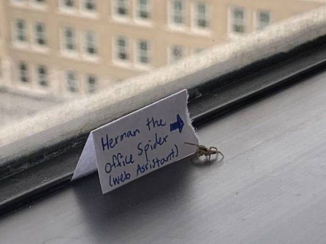 workhumor_008