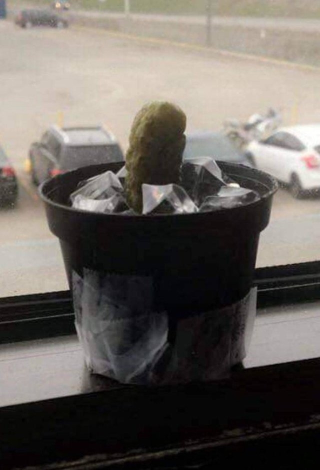 workhumor_041