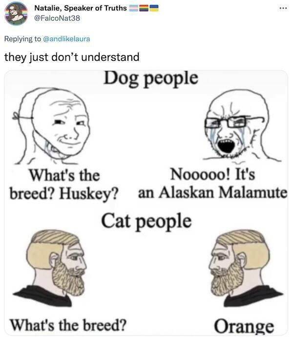 animalmemes_013