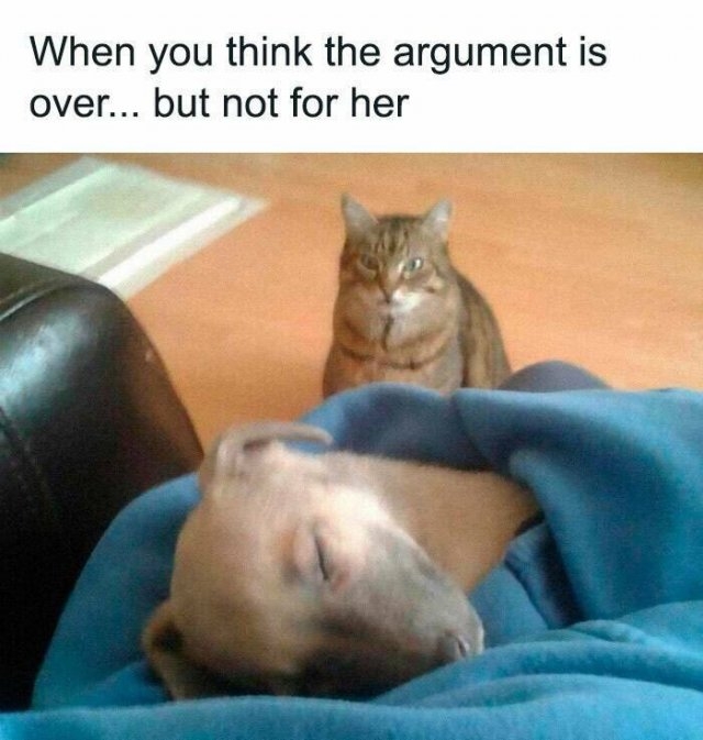 animalmemes_037
