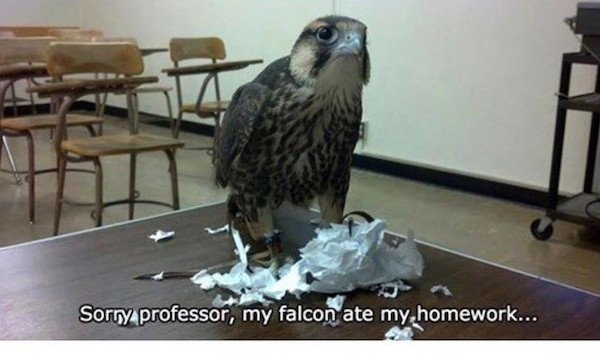 collegehumor_024
