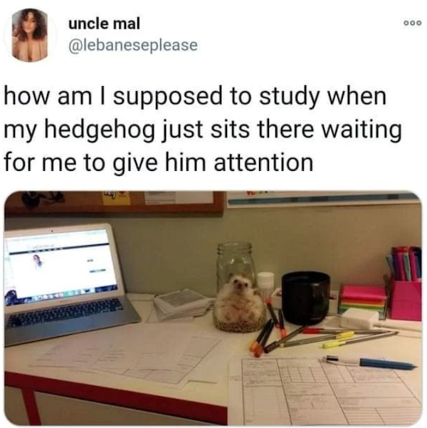 collegehumor_026