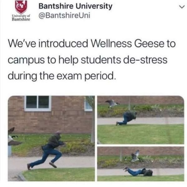 collegehumor_028