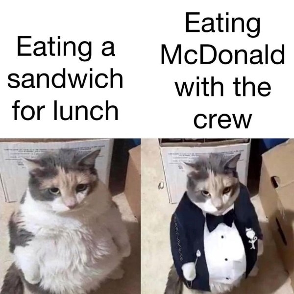 constructionmemes4_014