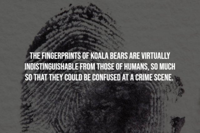 egyptfacts3_002