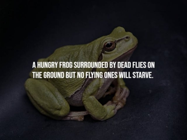 egyptfacts3_005