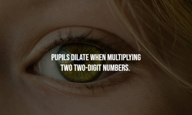 egyptfacts3_007