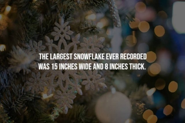 egyptfacts3_010