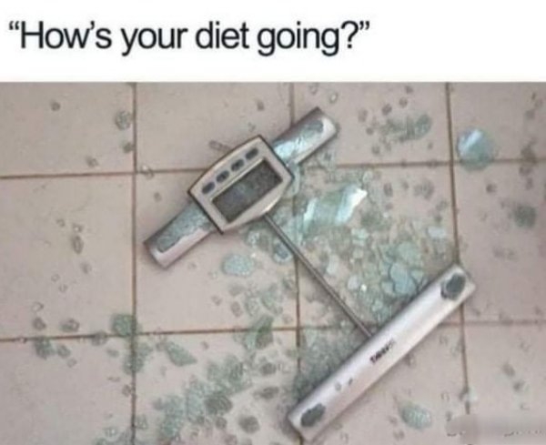 fatmemes_012