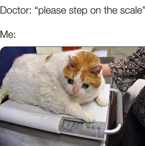 fatmemes_014