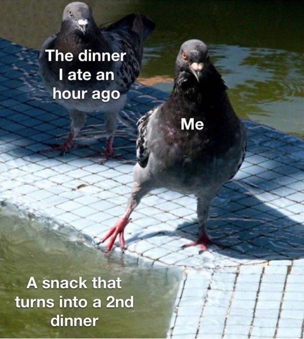 fatmemes_015