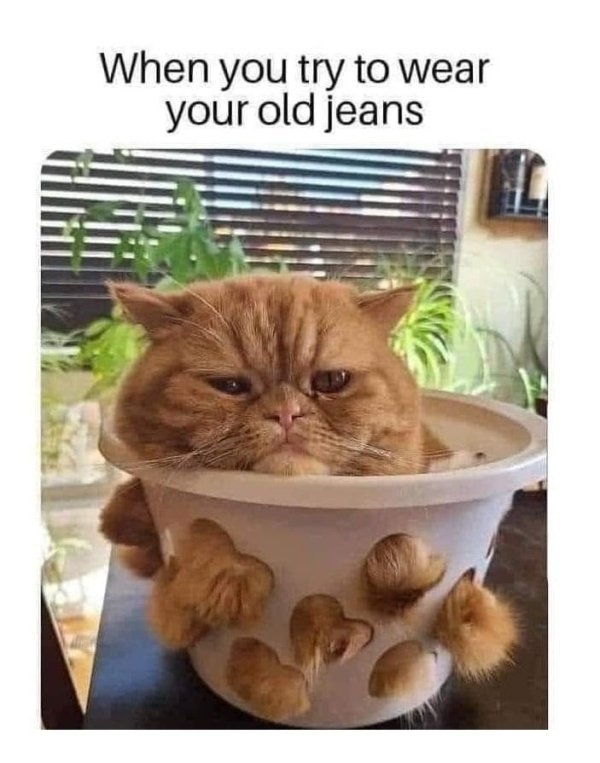 fatmemes_022