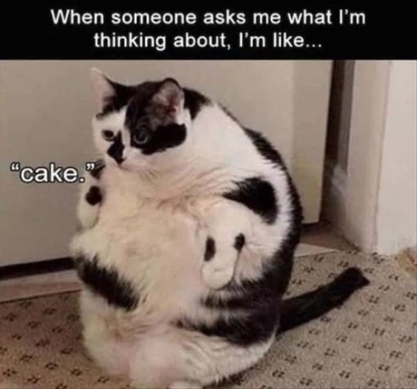 fatmemes_024