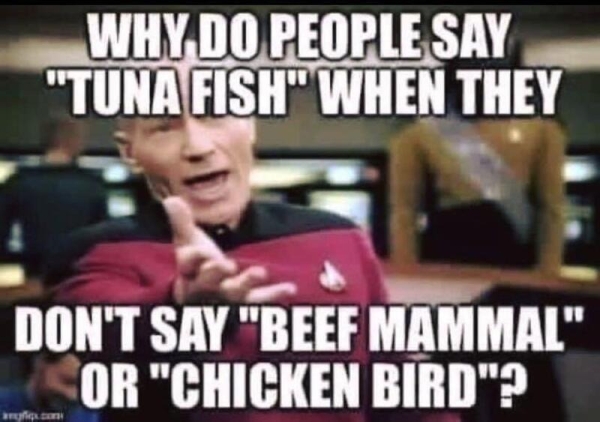 funnymemes80_057