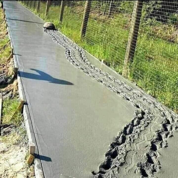 funnymemes80_058