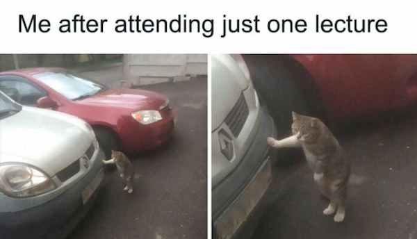 funnymemes83_058