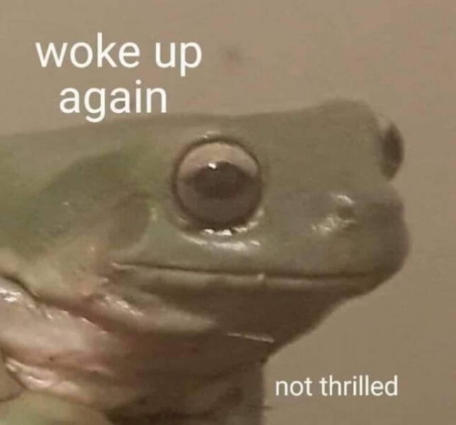 funnymemes87_052