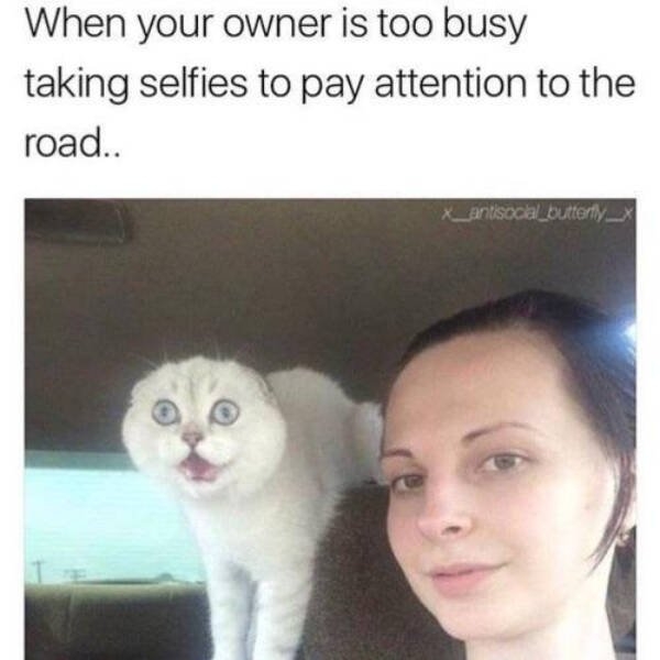 funnymemes87_056