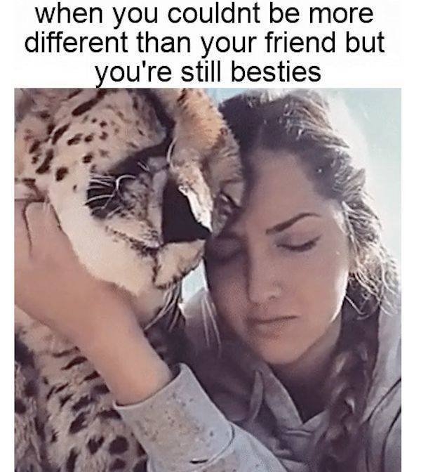 funnymemes90_054
