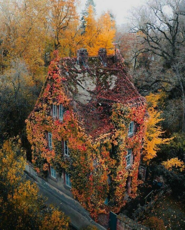 germany_002