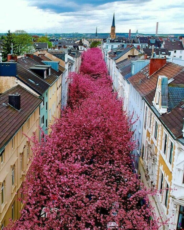 germany_004