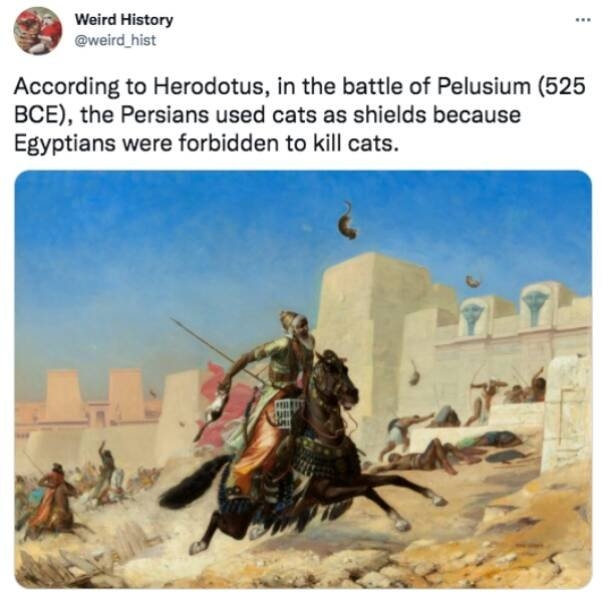historyfacts4_019