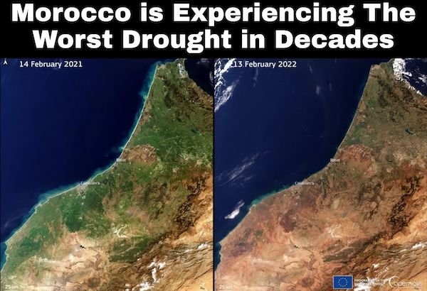 interestingdata18_006