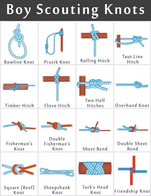 interestingdata18_008