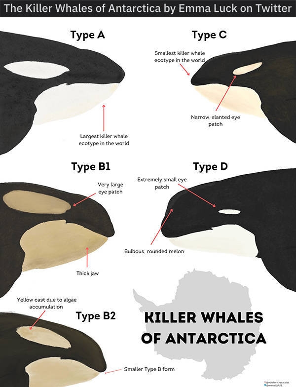 interestingdata19_001
