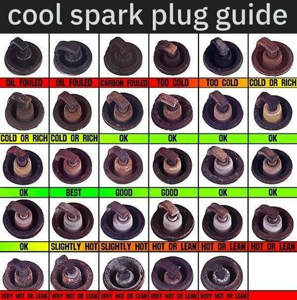 interestingdata20_005