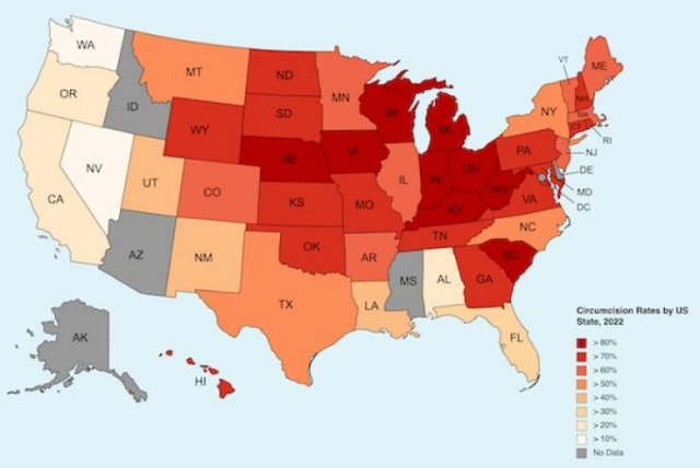 interestingdata21_007